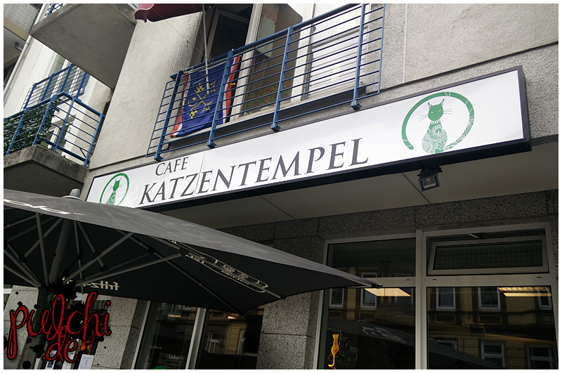 Café Katzentempel Hamburg