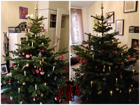 Weihnachtsbaum 2019