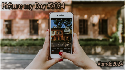 #1282 [Spotlight] „Picture Day“ #2024